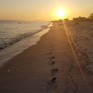 Meet your Posher, Eva